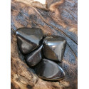 SHUNGITE