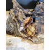 COLLANA FOGLIE RAME OTTONE E CALCITE GIALLA