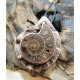 COLLANA IN AMMONITE E RAME